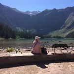 Dawn Selby Harrington - @dawnrh84 - Instagram