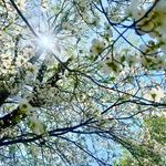 Dawn Sellmeyer - @dawnsellmeyer - Instagram