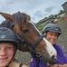Dawn Britnell BHSII Senior Accredited Professional Coach - Facebook