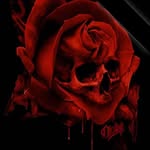 Dawn Severson - @severson9131 - Instagram