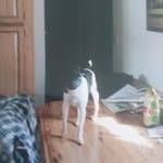 Dawn Severson - @severson7502 - Instagram