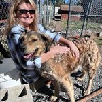 Dawn Sewell - @animalrescuer4life67 - Instagram