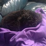 Dawn Sewell - @dawn.sewell2 - Instagram