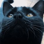 Clear - @dawn_shell_ - Instagram