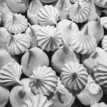 Dawn Shell - @dawnsshell - Instagram