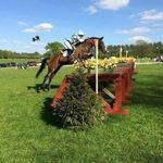 Dawn Shillingford - @dawnshillingford_ - Instagram