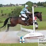 Dawn Shillingford - @dawnshillingford_dressagecoach - Instagram