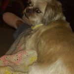 Dawn Simpkins - @dawntaz04 - Instagram