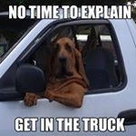Dawn Simpkins - @simpkinsdawn - Instagram
