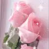dawnblairsimpkins - @dawnblairsimpkins - TikTok