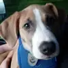 slaughterdawntiff - @slaughterdawntiff - TikTok
