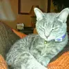 dawnspellman880 - @dawnspellman880 - TikTok