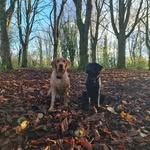 Dawn Spicer - @dawn.spicer07 - Instagram