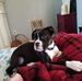 Dawn Spicer - Facebook