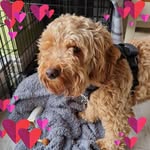 Dawn Spicer - @spicer4003 - Instagram