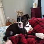 Dawn Spicer - @dreamer10157 - Instagram