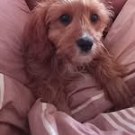 Dawn Spicer - @dawn.spicer.50 - Instagram
