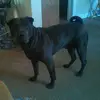 dawnspicer24 - @dawnspicer24 - TikTok
