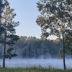Dawn Springer Haltiwanger - @dawnph61 - Instagram