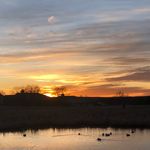 Dawn Stearns - @dawn.stearns.12 - Instagram