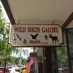 Dawn Stearns - @wildbirdsgalore - Instagram