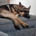Dawn Stephens - Facebook