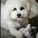 Dawn Stephens - Facebook