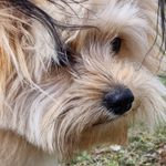 Dawn Stephens - @dawn.stephens.104 - Instagram