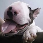 Dawn DeWaele Sterling - @sterling.dawn - Instagram