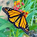 Dawn Sterling - @dawnsterling - Instagram