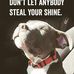 Dawn Sterling - Facebook
