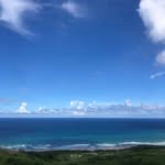 Dawn Stevenson - @dawnstevenson9660 - Instagram