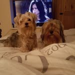 Dawn Stevenson - @dawn.stevenson.3975 - Instagram