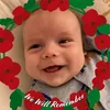 Dawn Stevenson - @dawnstevenson05 - TikTok
