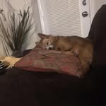 Dawn Stevenson - @dawn.stevenson.5458 - Instagram