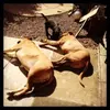 dawnstevenson23 - @dawnstevenson23 - TikTok