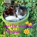 Dawn Stringer - Facebook