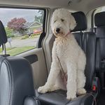 Dawn Sutherland Nelson - @dawnyland09 - Instagram