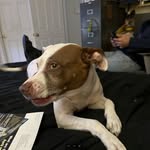 Dawn Swanson - @dawn.swanson.7796 - Instagram