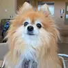 Dawn Swanson - @dswa3344444 - TikTok
