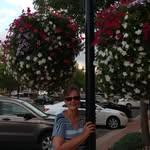 Dawn Swanson Carlson - @swansoncarlson - Instagram