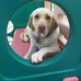 Dawn Swift - Facebook
