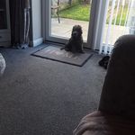 Dawn Swift - @dawnswift750 - Instagram