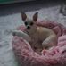 Dawn Swift - Facebook
