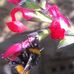 Dawn Swift - Facebook