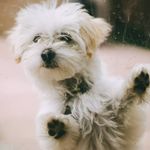 Dawn Miller-Tate - @dawn_tate - Instagram