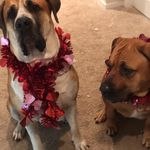 Dawn Tate - @dawntate34 - Instagram