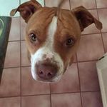 Dawn Terrill - @dawn.marie56 - Instagram