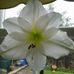 Dawn Thorne - Facebook