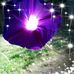 Dawn Thorne - Facebook